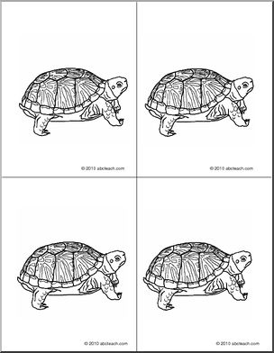 Nomenclature Cards: Turtle (4) (b/w)