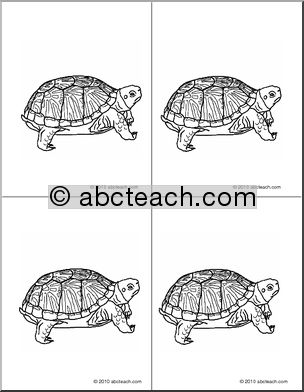 Nomenclature Cards: Turtle (4) (b/w)