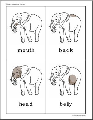Nomenclature Cards: Elephant