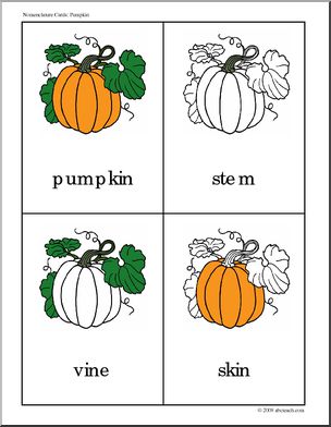 Nomenclature Cards: Pumpkin