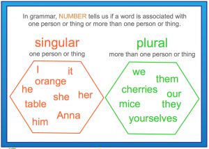 Interactive: Notebook: Grammar: Number (Explanation)