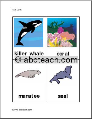 Flashcards: Ocean Animals (elem) – color