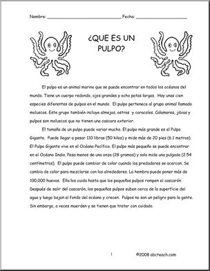 Spanish: ComprensiÃ›n de lectura – Pulpos (elementaria/secundaria)