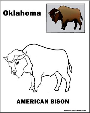 Oklahoma: State Animal  – American bison