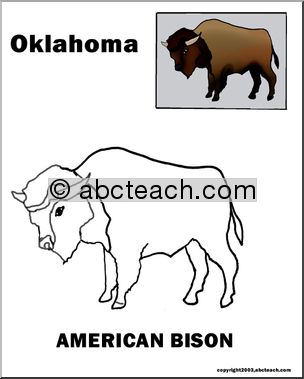 Oklahoma: State Animal  – American bison