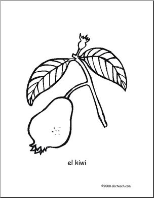 Spanish: PÂ·gina para colorear – El Kiwi (primaria)