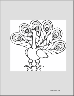Coloring Page: Peacock