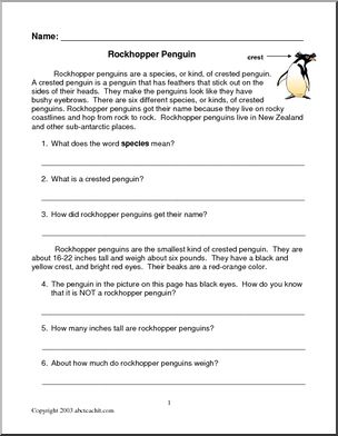 Comprehension: Rockhopper Penguin (elementary)