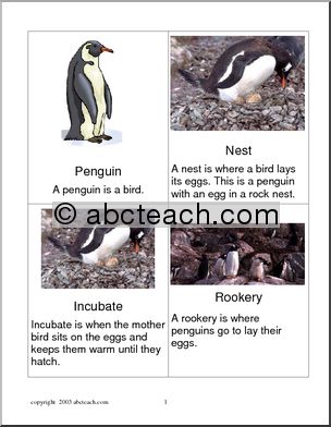 Vocabulary Cards: Penguin 1
