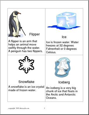 Vocabulary Cards: Penguin 2