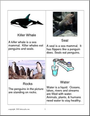 Vocabulary Cards: Penguin