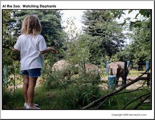 Photograph: Zoo (girl observing elephants)