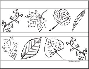 Bulletin Board Trim: Plant Leaves (b/w)