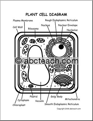 Interactive: Notebook: Science–Plant Cell (upper el-middle-high)