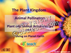 PowerPoint: Presentation with Audio: Plant Kingdom 14: Animal Pollinators, Animal Relationships Part 1:2 (upper elem/middle/high)