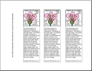 Bookmarks: Parts of a Flower -color (upper elem/middle)