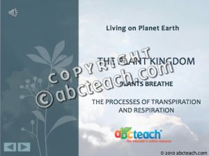 PowerPoint: Presentation with Audio: Plant Kingdom 2: Plants Breathe (multi-age)