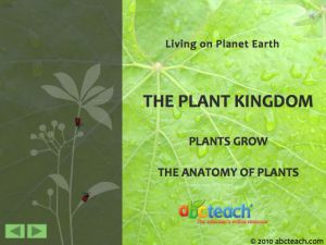 Interactive: Notebook: Reading Comprehension (with audio): The Anatomy of Plants (upper elem)