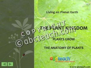 PowerPoint: Presentation with Audio: Plant Kingdom 3: Plants Grow  – The Anatomy of Plants (multi-age)