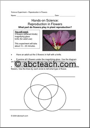Project: Flower Reproduction