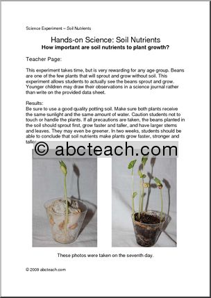 Experiment: Plants – Beans & Soil (elem/upper elem)