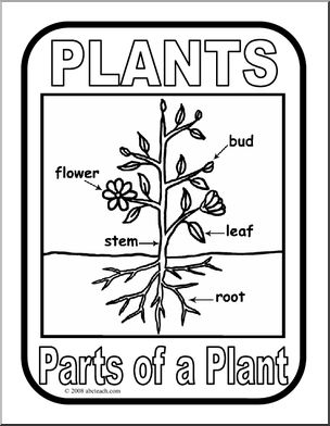 Poster: Parts of a Plant (b/w)