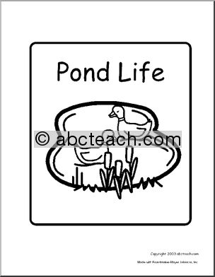 Sign: Pond Life (coloring book version)