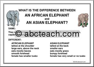 Poster: What’s the difference… between African and Asian elephants?