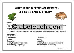 Poster: What’s the difference… between a frog and a toad?