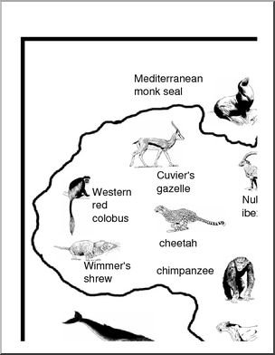 Endangered Species Graphic Organizer - APES : By Reymond P.