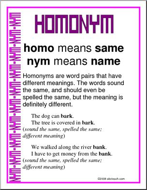 Homonym Vocabulary Poster