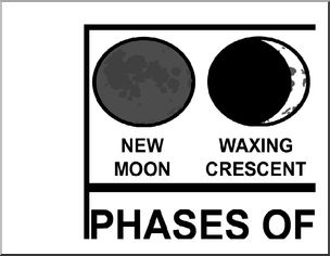 Large Poster: Phases of the Moon (b/w)