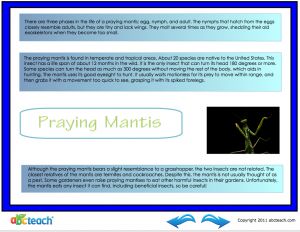 Interactive: Notebook: Praying Mantis-Reading Comprehension