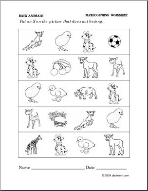 Worksheet: Baby Animals – Categories (preschool/primary)