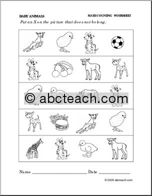 Worksheet: Baby Animals – Categories (preschool/primary)