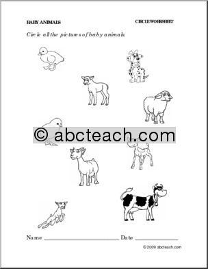 Worksheet: Baby Animals – circle (preschool/primary) -b/w
