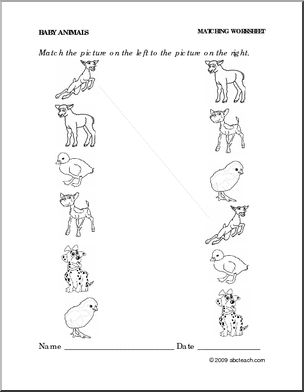 Worksheet: Baby Animals – Match Pictures (preschool/primary) – Abcteach