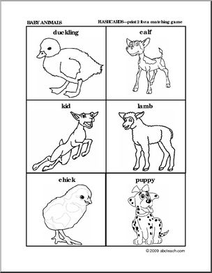 Matching: Baby Animals Pictures (preschool/primary)