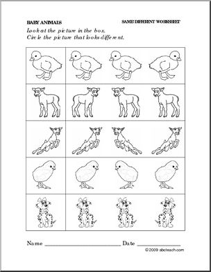 Worksheet: Baby Animals – Same and Different (preschool/primary)