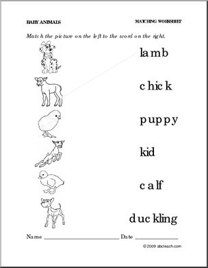 Worksheet: Baby Animals  – Match Pictures to Words (preschool/primary)