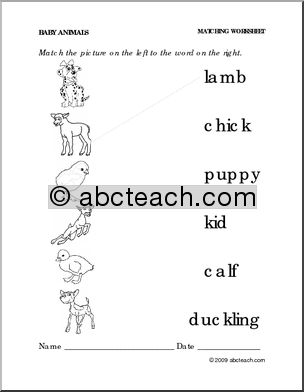 Worksheet: Baby Animals  – Match Pictures to Words (preschool/primary)