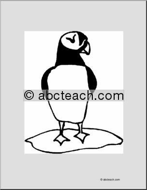 Coloring Page: Puffin