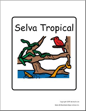 Sign:  Selva Tropical (Rain Forest)