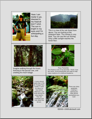 Photos: Sandy’s Rain Forest Pictures