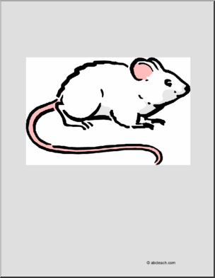Coloring Page: Rat