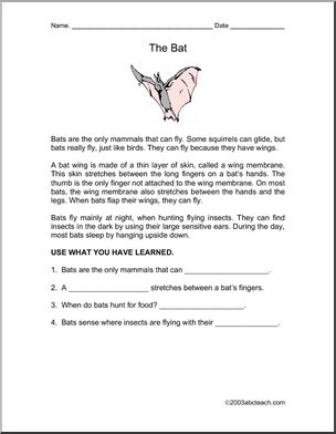 Comprehension: Bats (elementary)