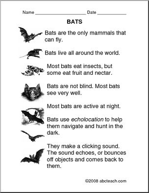 Comprehension: Bats (primary/elem)