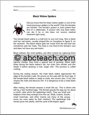 Comprehension: Black Widow Spider (upper elementary)