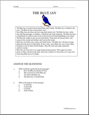 Comprehension: Blue Jays (elementary)