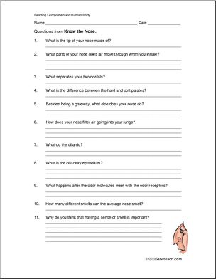 Comprehension: Know the Nose (elem/ upper elem) | Abcteach